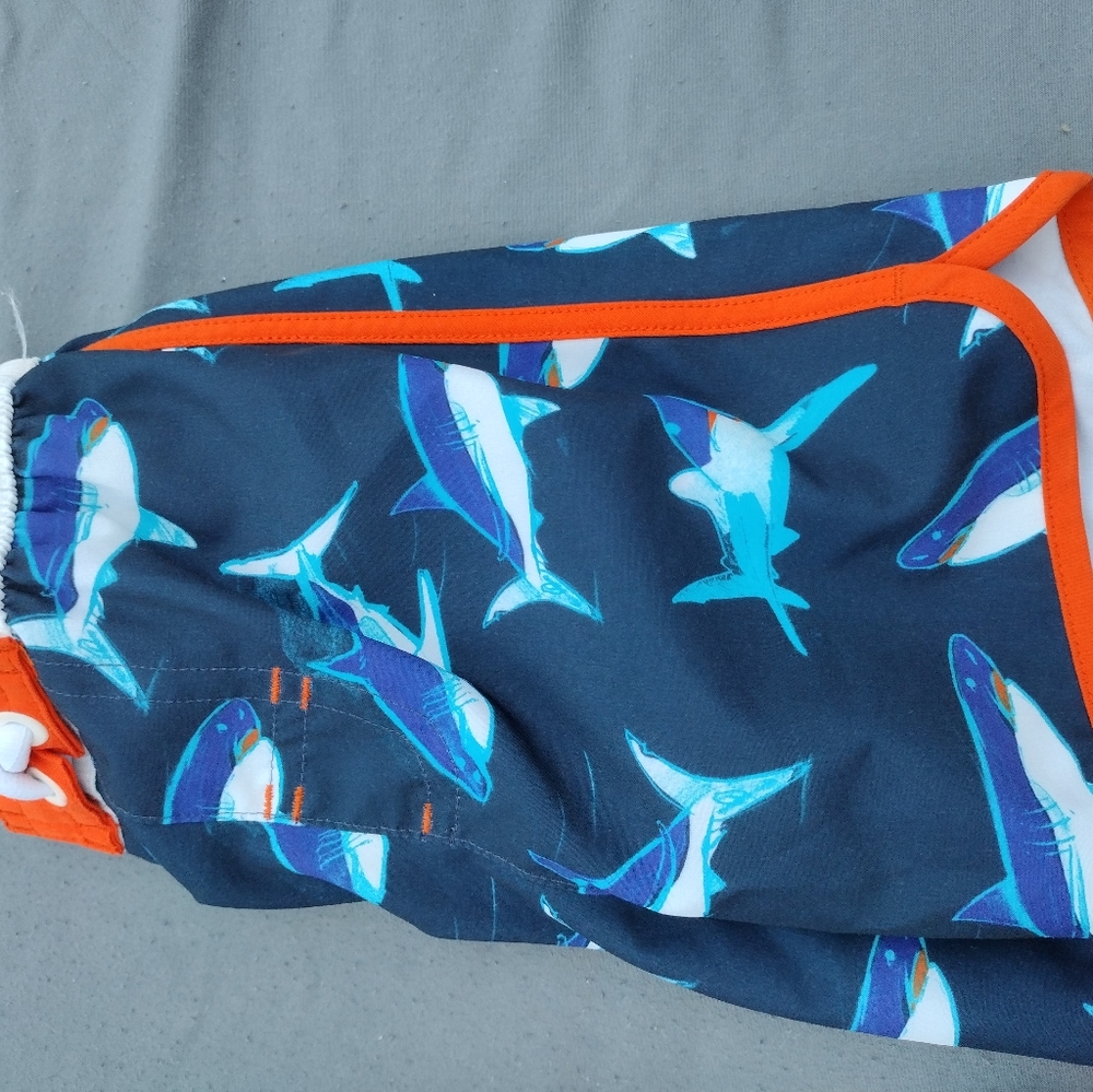 Swim Trunks - Picture 2 of 2